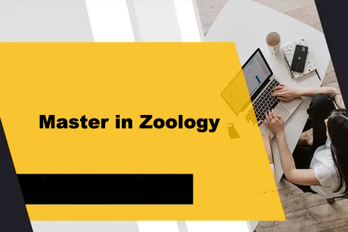 Course - Diploma in Computer Application - 6 Month